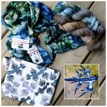 May - Blue Dragon Slug